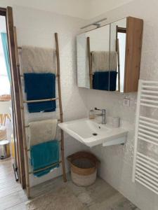 a bathroom with a sink and a mirror and towels at CAP ESTEREL, T2 VUE MER 4 couchages adapté PMR in Saint-Raphaël