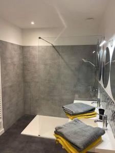 bagno con doccia e asciugamani su un bancone di Maison en pierre à 15 min de LA ROCHELLE avec SPA ad Andilly