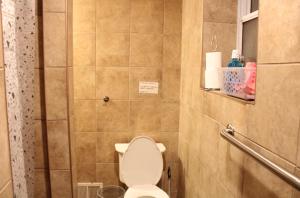 een kleine badkamer met een toilet en een douche bij Private room in the heart of Oakland in Pittsburgh