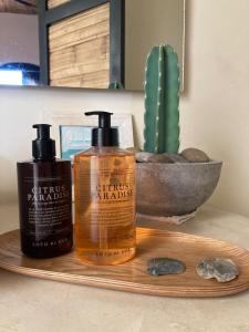 two bottles of soap on a wooden tray with a cactus at Casa De Amigos Hotel Boutique in Honda