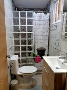 a bathroom with a toilet and a sink at La Cubana II con Aire Acondicionado in Santa Pola