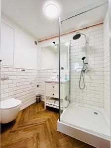 uma casa de banho com um chuveiro, um WC e um lavatório. em Apartamenty Kamienica Centrum em Lubin