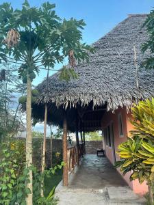 瓦塔姆的住宿－SAMAKI VILLAGE，茅草屋顶的房子,有一条通往房子的路径