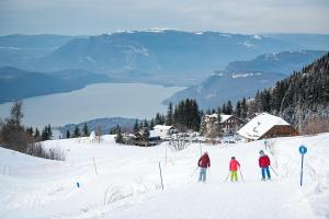 Pugny-Chatenod的住宿－Chalet du Fjord & Spa，一群滑雪者在雪中滑雪