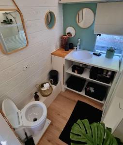 a small bathroom with a toilet and a sink at Bateau Le Chassane in Baume-les-Dames