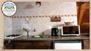 eine Küche mit einer Spüle und einer Mikrowelle auf der Theke in der Unterkunft Cabana Alpinas del Parque in General Belgrano