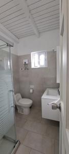 諾德的住宿－LUCA apartment 5H，一间带卫生间和水槽的浴室