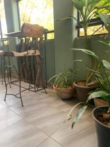 a room with plants and a chair on a floor at Appartement à la Zone du Bois in Ouagadougou