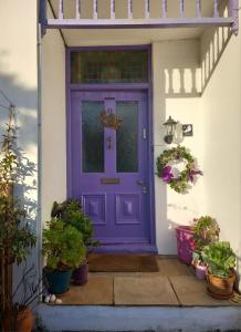 a purple door on a house with potted plants at Falmouth Lodge in Falmouth