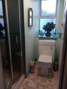 a bathroom with a shower and a toilet and a window at Falmouth Lodge in Falmouth