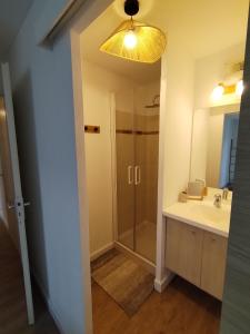 a bathroom with a shower and a sink at T4 spacieux+2 terrasse vue sur picine+parking gratuit in Gagnac-sur-Garonne