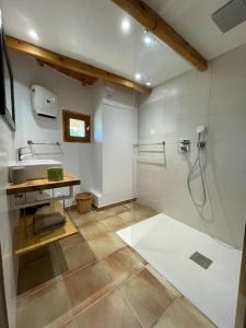 ein Bad mit einer Dusche und einem Waschbecken in der Unterkunft Maison de gardians traditionnelle - Espiguette in Le Grau-du-Roi