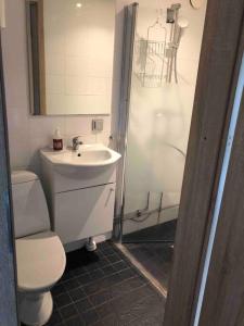 La salle de bains est pourvue de toilettes, d'un lavabo et d'une douche. dans l'établissement Hässleholm med närhet till strövområde och sjö, à Tormestorp