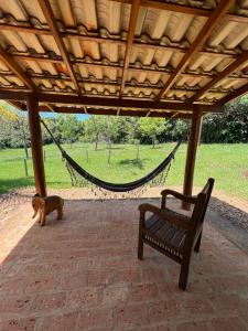a dog standing next to a bench and a hammock at Chalés Quinta da Nascente - Serra da Canastra in Delfinópolis +46 photos