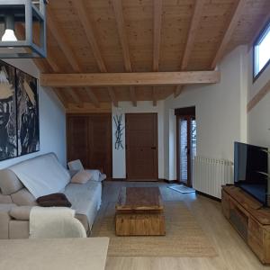 ein Wohnzimmer mit einem Sofa und einem TV in der Unterkunft Suite a las orillas del Duero 