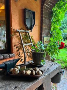 uma mesa com um prato de cogumelos e uma planta em La casa Arancione em Boves