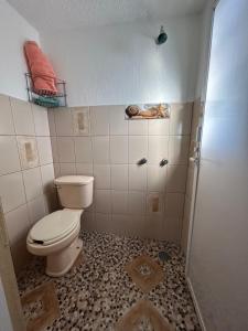 y baño pequeño con aseo y ducha. en Hospedaje Guadalajara, en Guadalajara