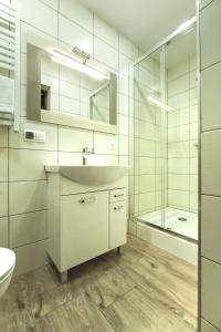 a bathroom with a sink and a shower and a toilet at VillaGiewont in Kościelisko