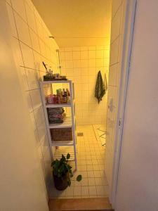 a small bathroom with a refrigerator and a plant at Studioleilighet in Oslo