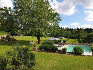 a yard with a swimming pool and a tree at Le Mas Réolais in Saint-Sève
