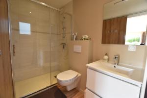 a bathroom with a shower and a toilet and a sink at La clé des vignes in Saint-Médard-dʼEyrans