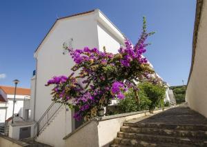 Hrvatska, NEČUJAM-ŠOLTA, Apartment Tatjana