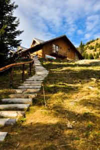 a house on a hill with steps leading up to it at Cabana Stana Tarle in Sinaia