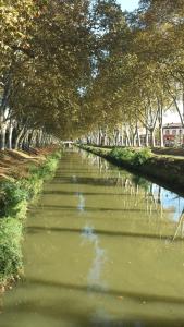 Gallery image of Canal du Midi in Toulouse