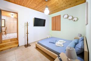 a bedroom with a blue bed and a television at Small Villa Gerani in Agios Vlasios