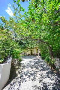 una pasarela con árboles y un edificio en Small Villa Gerani, en Agios Vlasios