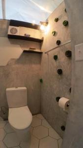 a bathroom with a white toilet in a room at Dome in the Heart of Boquete. in Boquete