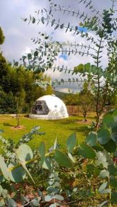 a field with a igloo in the middle of a garden at Dome in the Heart of Boquete. in Boquete