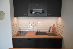 cocina con fregadero y microondas en La Griotte - Studio tout confort - Lyon - Tassin, en Tassin-la-Demi-Lune