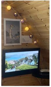 uma televisão com uma imagem de uma girafa numa parede em Heatherbrae Cosy Wooden Pod em Kyle of Lochalsh