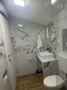 a bathroom with a toilet and a sink and a mirror at Apartman Emily in Nikšić