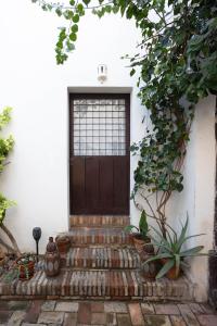 eine Tür in einem weißen Gebäude mit Topfpflanzen in der Unterkunft Casa del siglo XVII in Sevilla