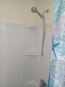 y baño con ducha y cortina de ducha. en comfy cozy roomy en Schenectady