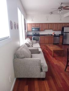 ein Wohnzimmer mit einem Sofa und einer Küche in der Unterkunft comfy cozy roomy in Schenectady