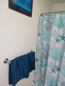 łazienka z zasłoną prysznicową i niebieskimi ręcznikami w obiekcie comfy cozy roomy w mieście Schenectady