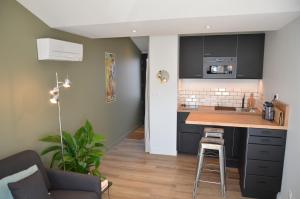 Dapur atau dapur kecil di La Griotte - Studio tout confort - Lyon - Tassin