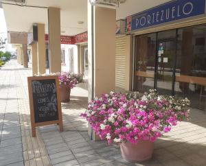 Hostal Solar Del Puerto في ماتشالا: متجر به زهور الفخار أمام متجر