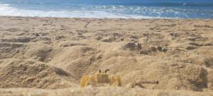 um monte de areia na praia em Manacá Suítes Prumirim em Ubatuba