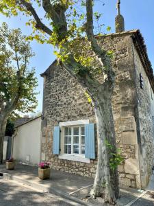 a stone house with a tree in front of it at LA PETITE MAISON DE MAUSSANE *** in Maussane-les-Alpilles