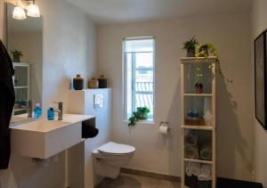 ファーボにあるNyrenoveret charmerende byhusのバスルーム(トイレ、洗面台付)、窓が備わります。