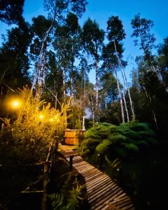 a wooden pathway in a park at night at Habitación en Casa Cumbres del Lago in Puerto Varas