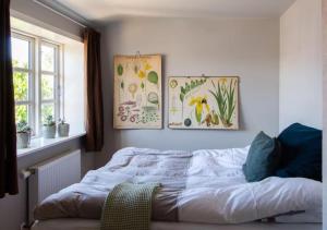1 cama en un dormitorio con 2 cuadros en la pared en Nyrenoveret charmerende byhus, en Faaborg