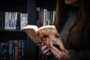 Domácí mazlíčci ubytovaní s hosty v ubytování Dingleigh of Sassafras