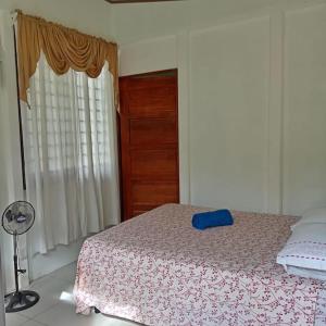 a bedroom with a bed with a blue pillow on it at Camping Mena’s in La Cruz