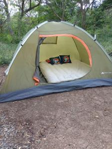ein grünes Zelt mit zwei Personen, die darin sitzen in der Unterkunft Camping Mena’s in La Cruz