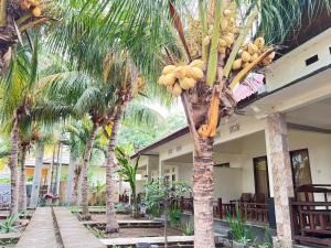 Κήπος έξω από το Bias Bungalows +28 φωτογραφίες